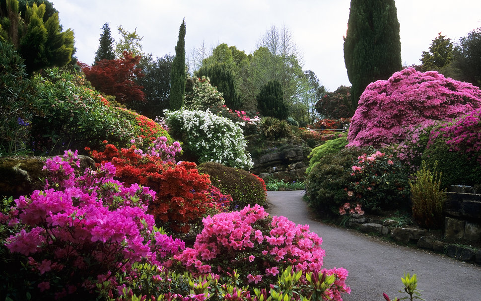 Comment choisir les plantes de son jardin ?