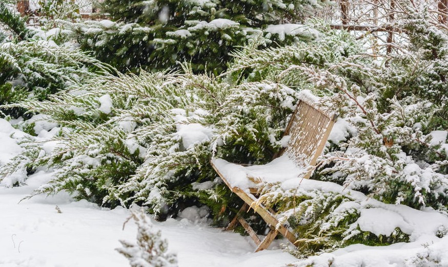 Comment décorer son jardin en hiver ?