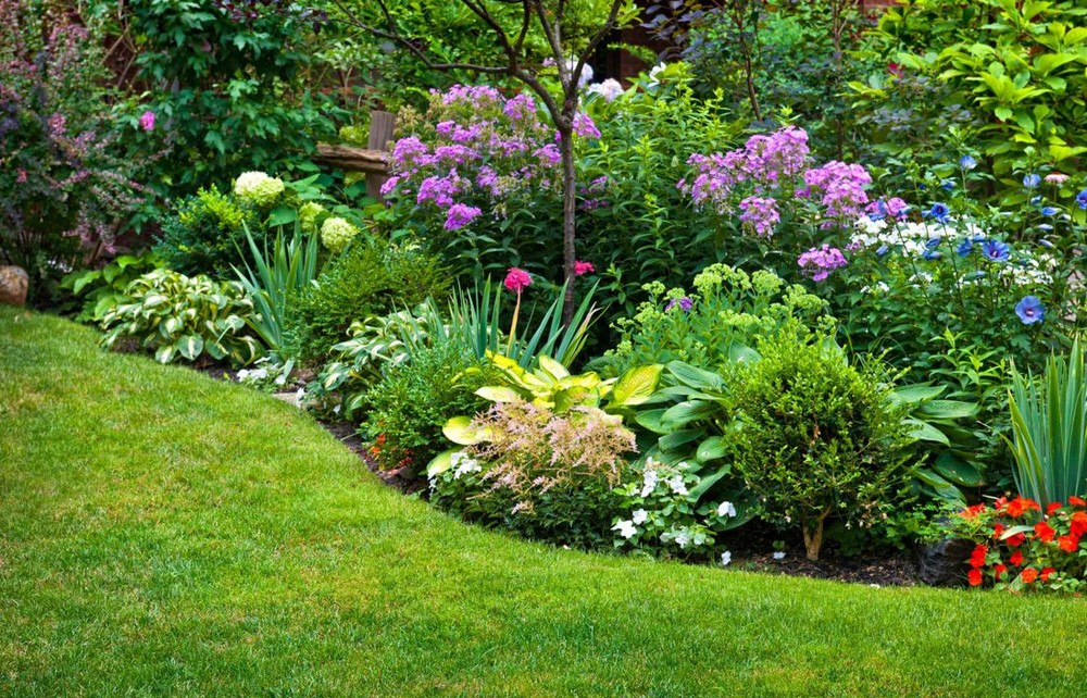 Comment embellir votre jardin ?