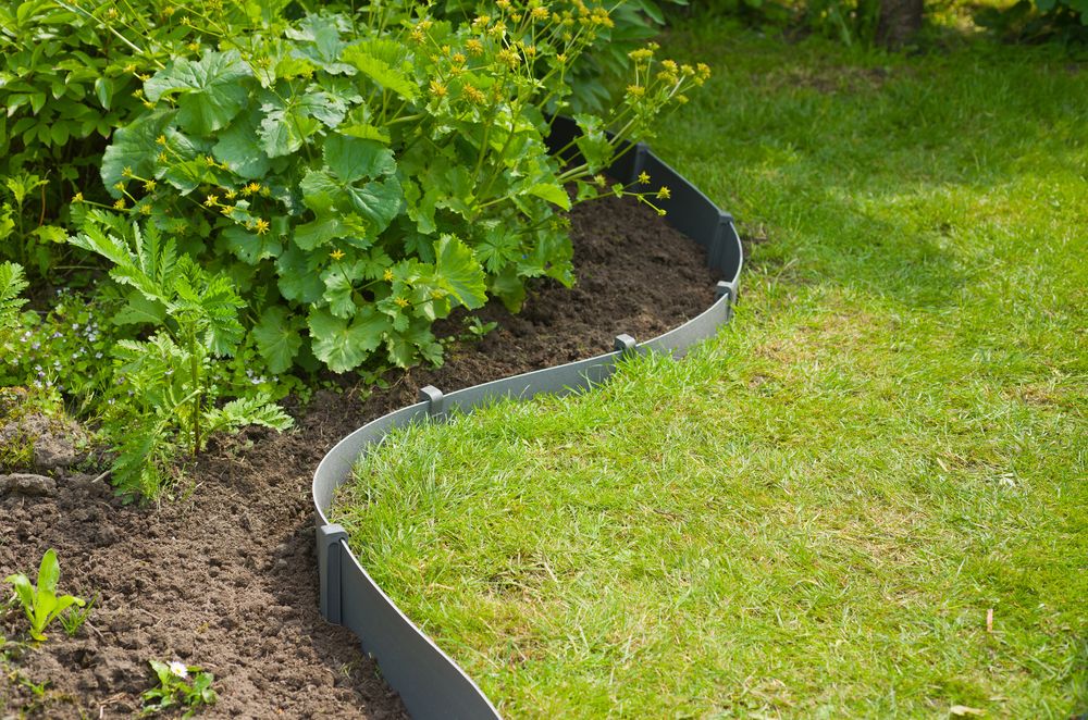 Adopter des protections racinaires dans un jardin : barrière anti-rhizome