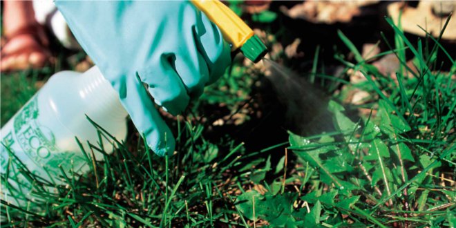 Herbicides