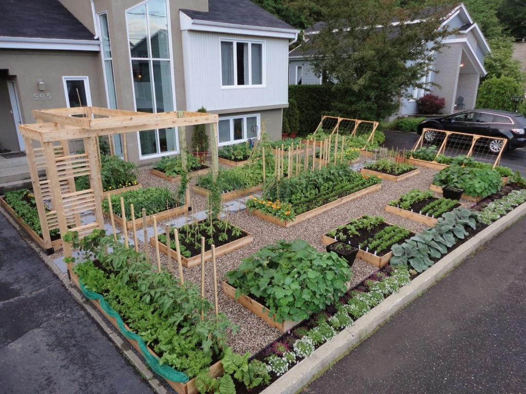Potager