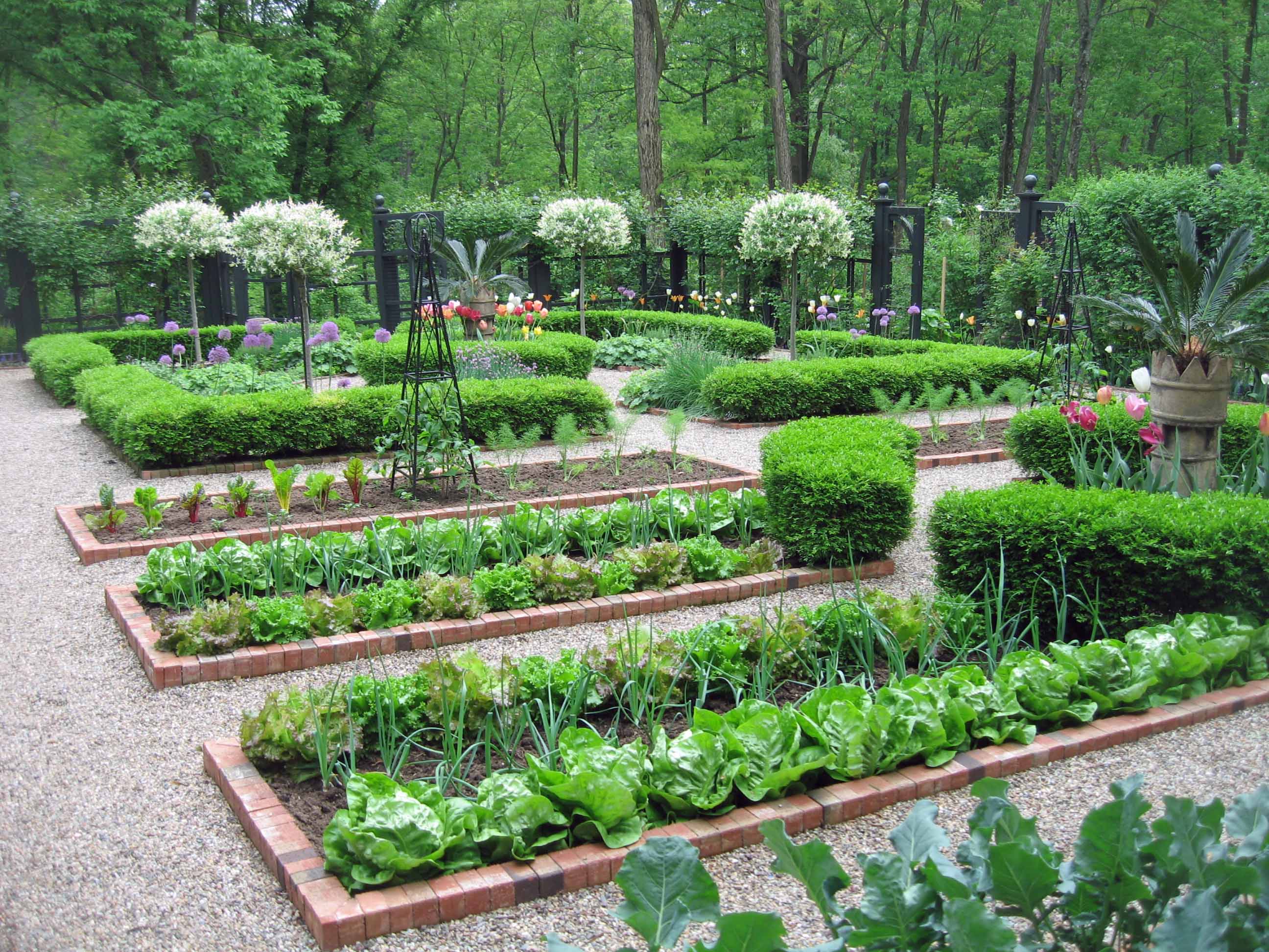 Organisation et structuration du potager
