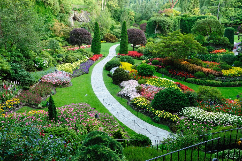 Conseils pratiques pour un jardin de rêve
