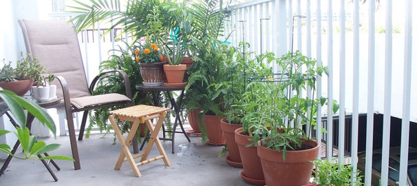 jardin