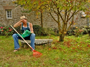 jardinage