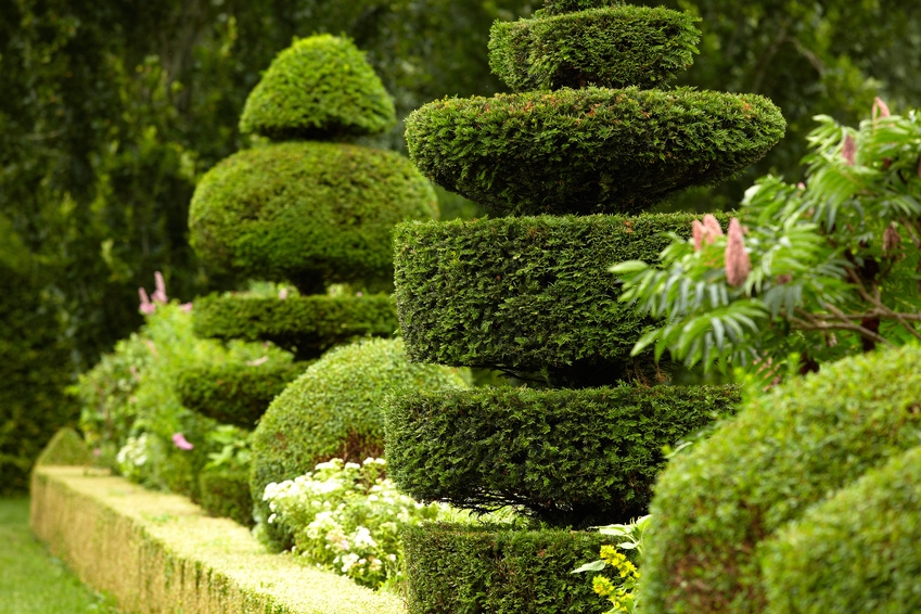 Comment faire pour avoir un joli gazon ? – jardins roi soleil+