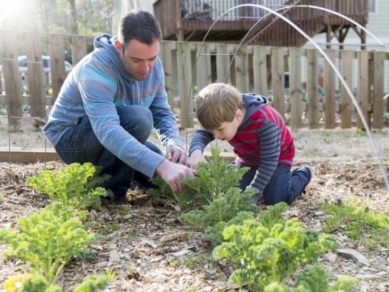 Côté jardin : que faut-il faire pour ce mois d’octobre ?