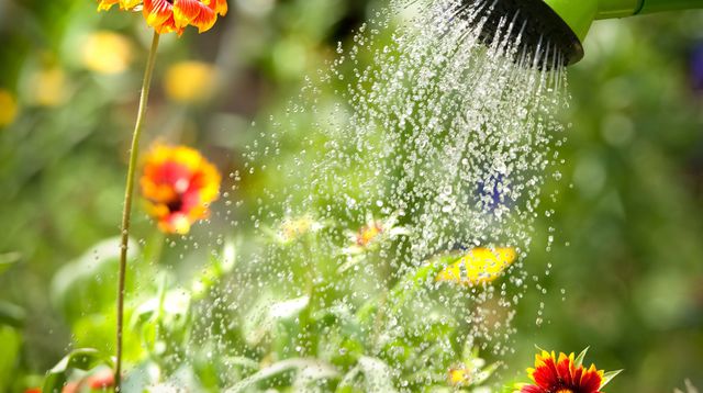 Comment bien gérer l’eau de l’arrosage ?