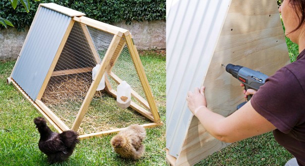 construire-un-poulailler