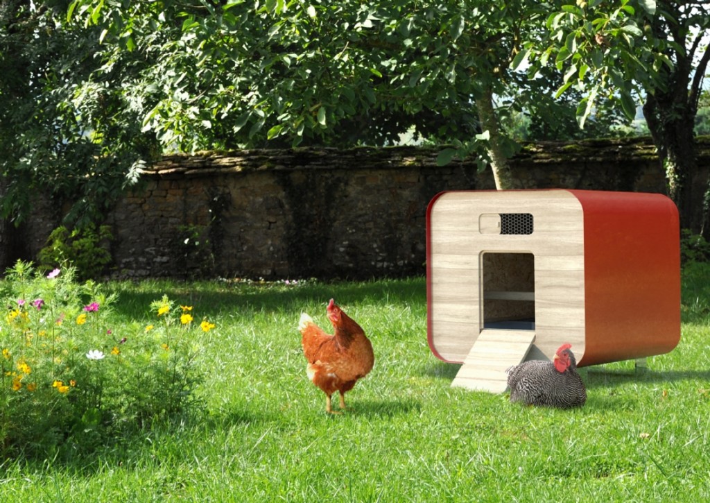 Comment aménager un poulailler dans son jardin en ville ?