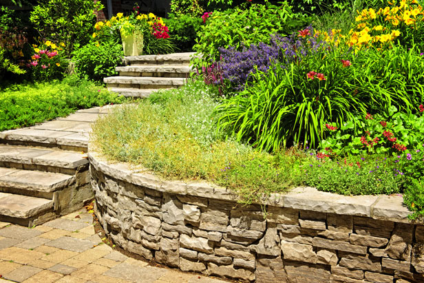 Choisir le terrain à revêtir pour en faire son jardin