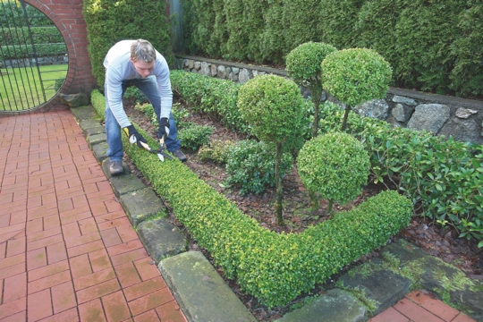 creation-jardin-1