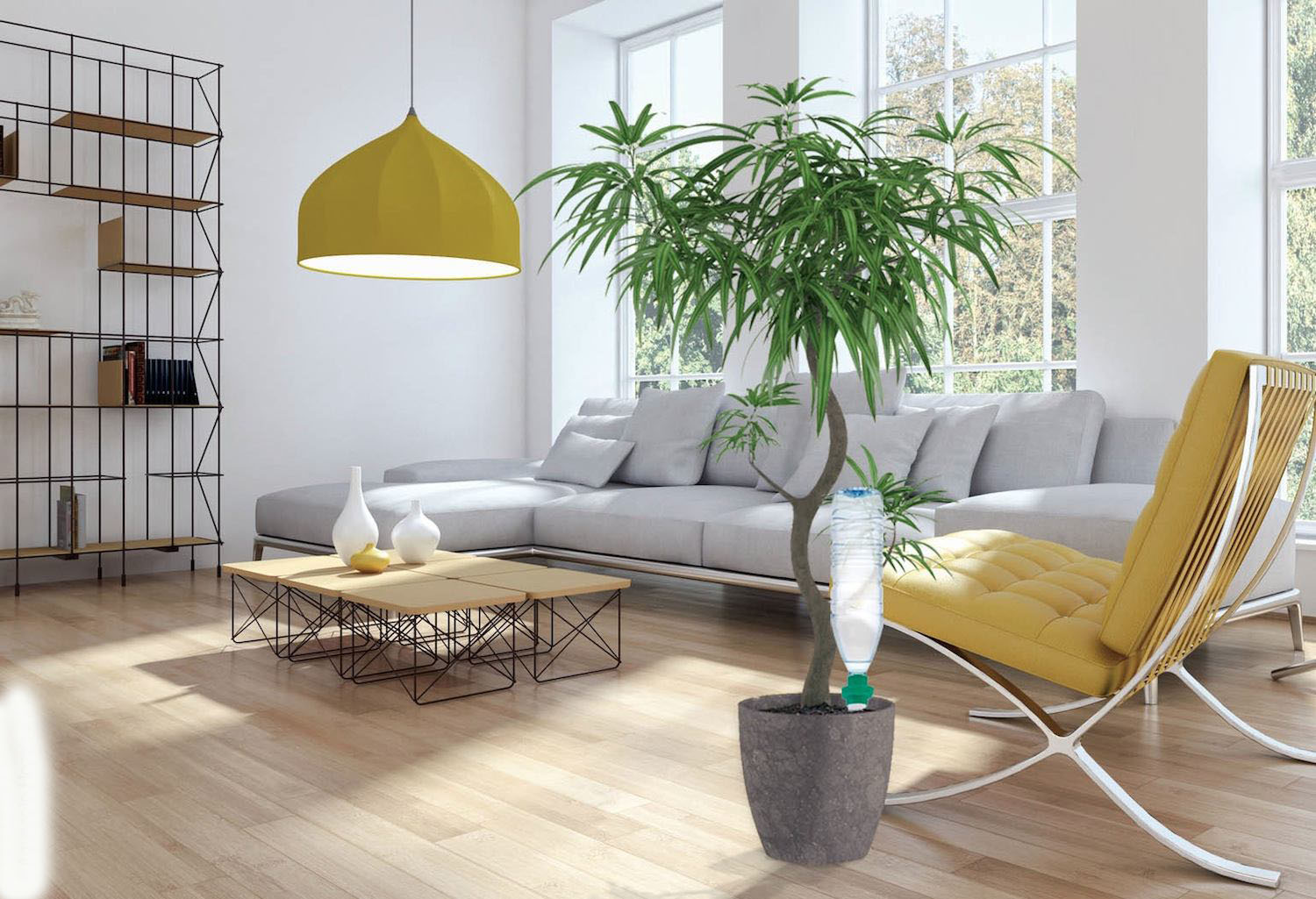 Arroser la plantes pendant les vacances : comment s’y prendre ?
