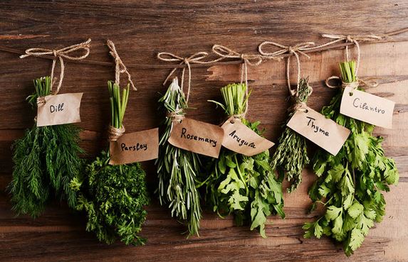 Les herbes aromatiques indispensables dans son potager