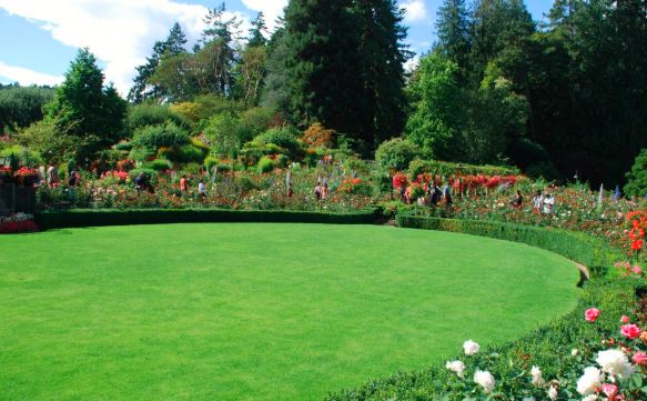 Comment avoir un beau jardin ?