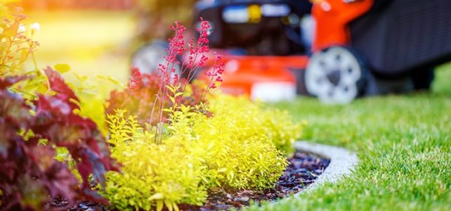 Les astuces pour bien entretenir son jardin