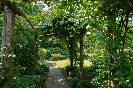 jardin ombrage